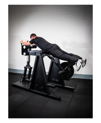 Box Step© Dual Beast GHD / Reverse Hyperextension