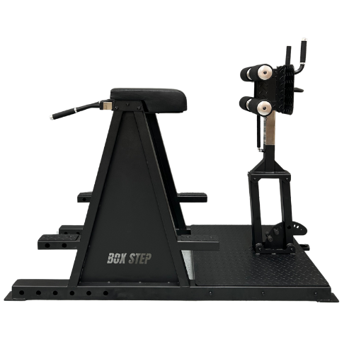 Box Step© Dual Beast GHD / Reverse Hyperextension